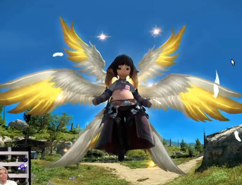 You will receive this mount from a quest after collecting all 7 pairs of wings